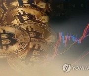 "가상자산 현물 ETF 도입하면 기업 금융자본 이탈할 것"