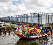 NETHERLANDS TRADITION