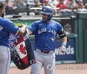 Blue Jays Guardians Baseball