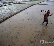 Climate India Monsoons