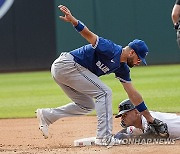 Blue Jays Guardians Baseball