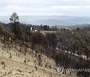 New Mexico Wildfires