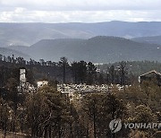 New Mexico Wildfires