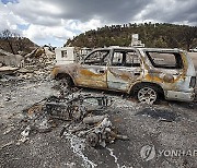 New Mexico Wildfires