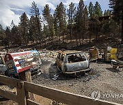 New Mexico Wildfires