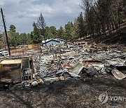 New Mexico Wildfires