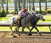 Bertrando Stakes Horse Racing