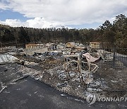 New Mexico Wildfires