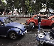 Mexico Beetles