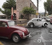 Mexico Beetles