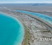 (InXizang)CHINA-XIZANG-SERLING TSO LAKE-SUMMER SCENERY (CN)