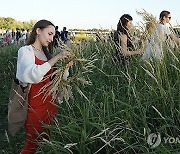 Poland Ukraine Tradition