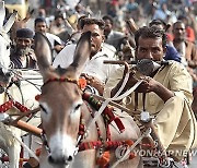 PAKISTAN DONKEY CART RACE