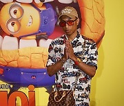 France Despicable Me 4 Photo Call