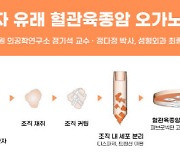 혈관육종암 환자 특성 재현한 오가노이드 개발로  맞춤 항암 기대