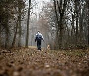 반려견 죽고 고독사 걱정하는 80대… 미국도 ‘노인을 위한 나라’ 아니다 [워싱턴 아나토미]