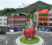 청송군, 청송읍 중앙로사거리 회전교차로 불법 주정차 상시 단속