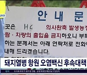 돼지열병 항원 오염백신 후속대책  마련