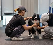 경남정보대 반려동물행동지도사 국가자격시험장 지정