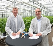 Bayer and Solynta Collaborate to Advance True Potato Seed in Smallholder Markets