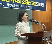 국힘 이수진, 도의회 2부의장 출마…"일당 독점 탈피"