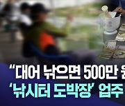 "대어 낚으면 500만 원"···'도박 낚시' 업주·손님 무더기 검거