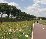 전국 대체로 맑아..비 27일까지 남부지방 등 확산