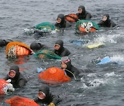 More than 10,000 haenyeo across the country to gather in September