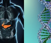 줄기세포로 당뇨병 고친다?... "췌장 기능 회복 효과 확인"