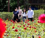 [오늘의 날씨]대전·충남(26일, 수)…맑음, 낮 기온 평년과 비슷