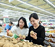 농협유통, 여름 제철 농산물 '감자' 드세요