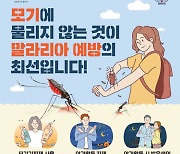 양주시, 말라리아 주의와 예방수칙 당부