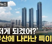 [자막뉴스] 부산에 전국 최다 집결...유독 특이한 현상