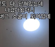 "창문 다 닫았는데 들어와 있어"...온라인 초토화시킨 미스테리