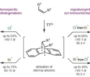 GIST, 전통적 화학반응 입체 경로 뒤집는 '같은 방향' 알켄 이할로젠화 반응 개발