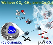 나경수 전남대 교수팀, 온실가스로 고부가화합물 생산기술 개발