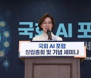 [팩플] “국회 과방위, 과학·방송 나눠달라”…'방송법 전쟁'에 밀리는 AI기본법