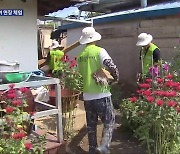 건축학도들의 집 수리 봉사…“땀 흘리며 배우는 현장”