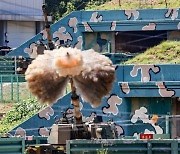 South Korea conducts first live-fire artillery drill along maritime border in seven years