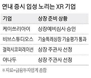 "메타버스 살아있다" 기업들 IPO 도전 지속