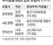 우리금융, 보험업도 '기웃' 롯데손보·동양생명 저울질