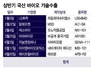 '양 보단 질' 상반기 바이오 기술수출…"전진 위한 고민 필요"