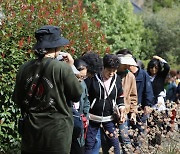 천리포수목원, 상반기 숲체험·교육 성황리에 마무리