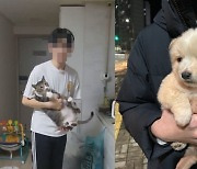 “역대 최악의 선고”…개·고양이 11마리 잔혹 살해한 20대 ‘집유’