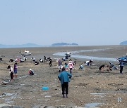 서산 중리어촌체험마을, 7월 가볼 만한 곳에 선정