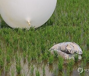 군 "어젯밤 살포한 北오물풍선 100여개 경기북부·서울 낙하"(종합2보)