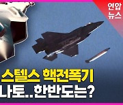 [영상] 러 위협에 스텔스 핵전폭기 꺼내든 나토…한반도는 괜찮나