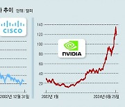 AI 거품 붕괴냐, 단기 조정이냐… 엔비디아, 24년전 시스코 닮아 [딥다이브]