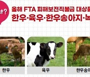 농식품부, 한우·육우농가에 FTA 피해보전금 지원