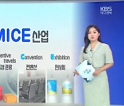 [같이경제] APEC 유치로 MICE 산업 들썩…과제는?